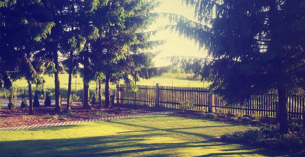 Swierkowe Zacisze Nałęczów Oda fotoğraf